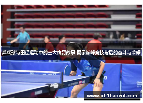 乒乓球与田径运动中的三大传奇故事 揭示巅峰竞技背后的奋斗与荣耀