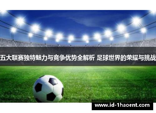 五大联赛独特魅力与竞争优势全解析 足球世界的荣耀与挑战 五大联赛独特魅力与竞争优势全解析 足球世界的荣耀与挑战