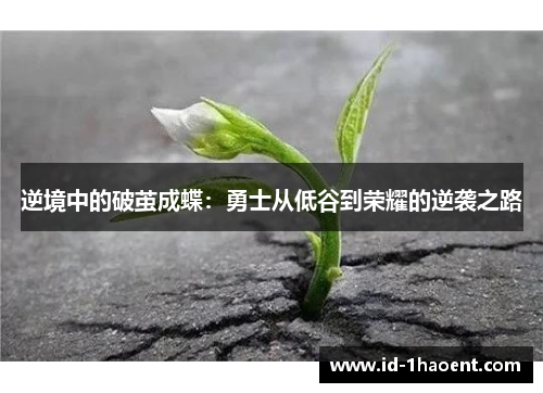 逆境中的破茧成蝶:勇士从低谷到荣耀的逆袭之路 逆境中的破茧成蝶:勇士从低谷到荣耀的逆袭之路